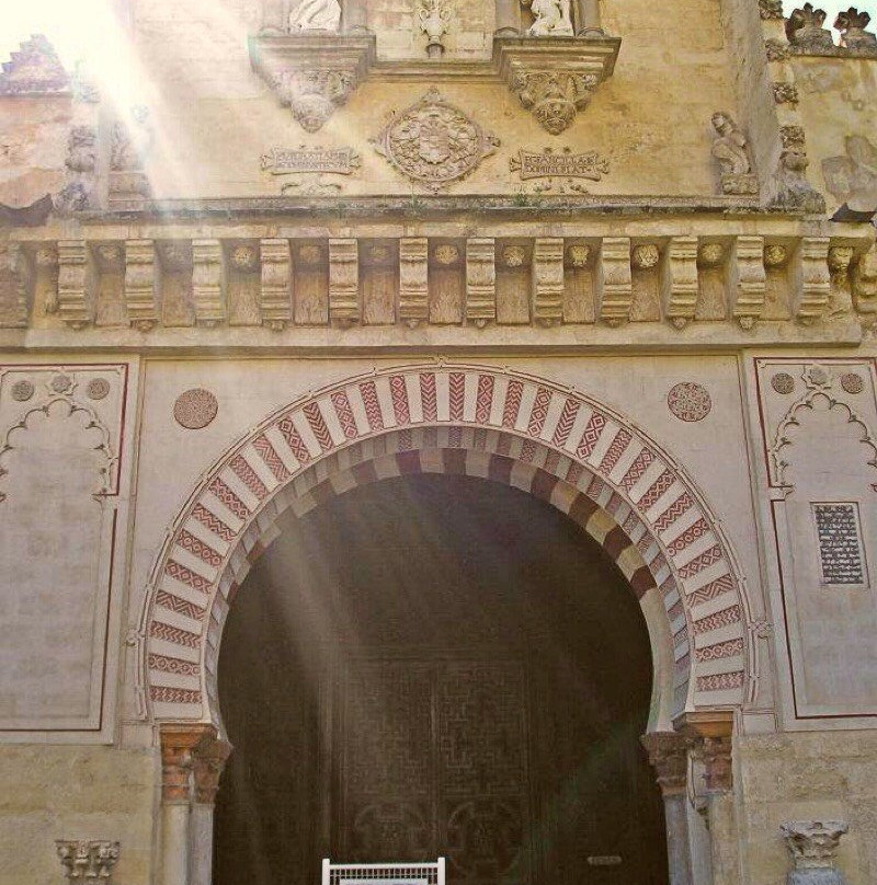 Toro Tours-Nueva Andalucia必去景点