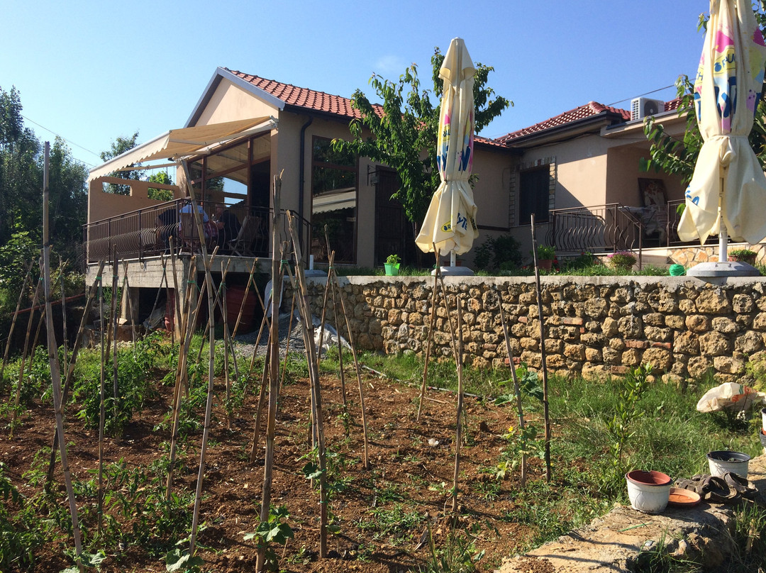 Dumrea Rubin Seferan主图