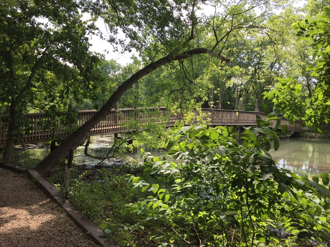 Springfield Conservation Nature Center-斯普林菲尔德必去景点