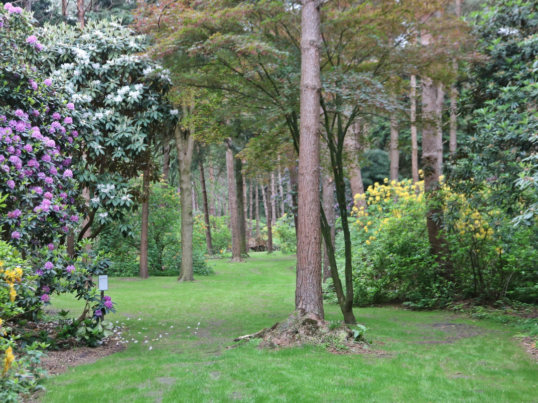 Rhododendronpark Hobbie景点图片