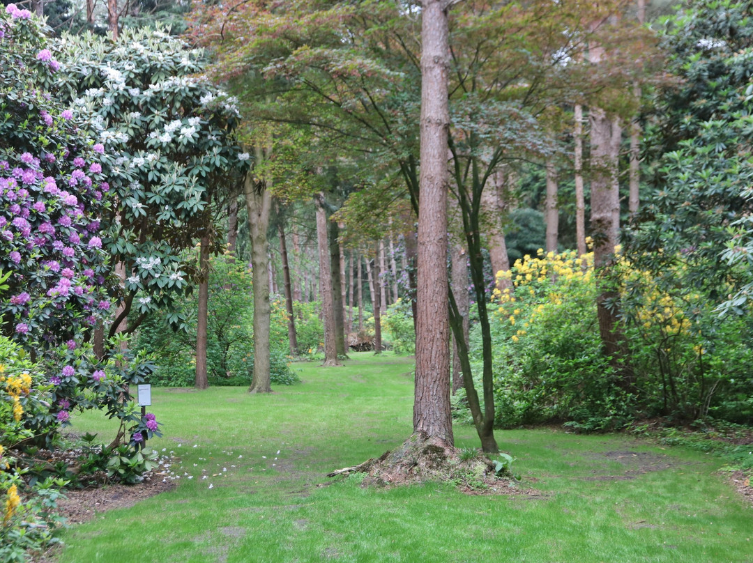 Rhododendronpark Hobbie-Westerstede必去景点