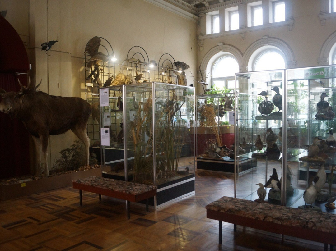 Voronezh Regional Local Lore Museum景点图片