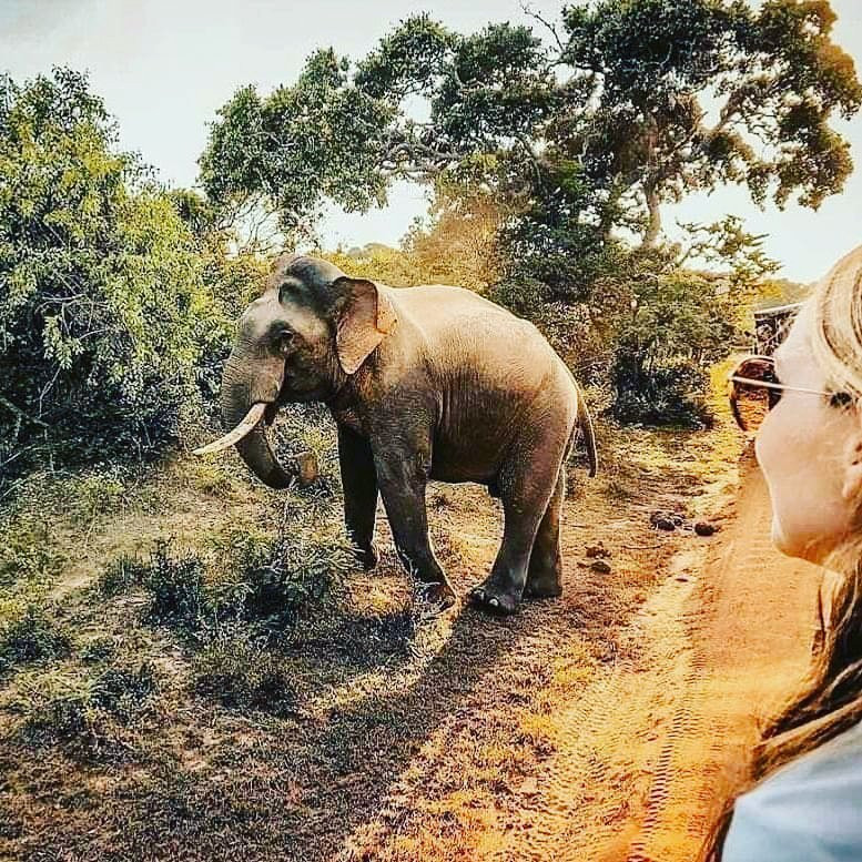 Sandu Tours-Waskaduwa必去景点