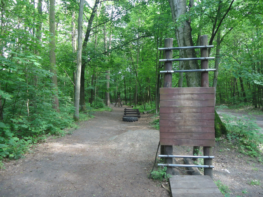 Kabacki Forest-华沙必去景点