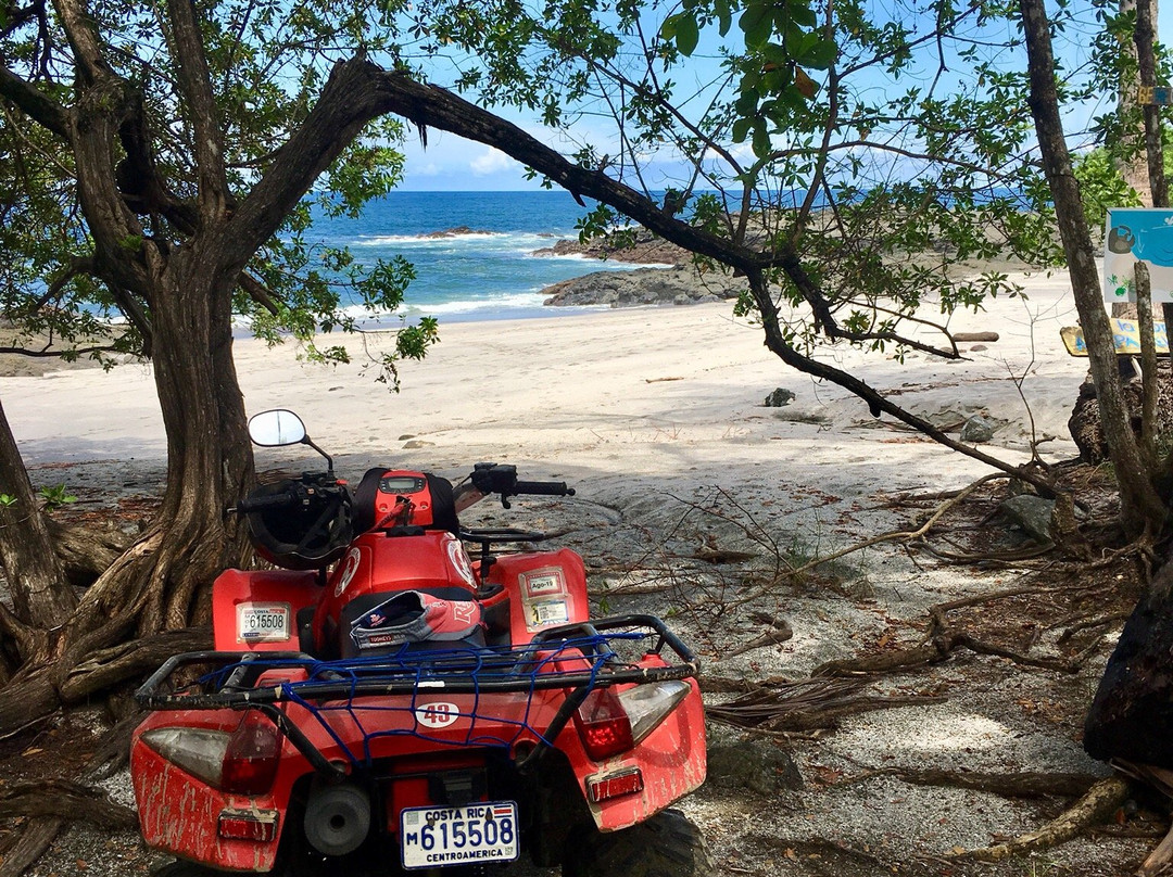 Pacific Dirt Road Adventures景点图片