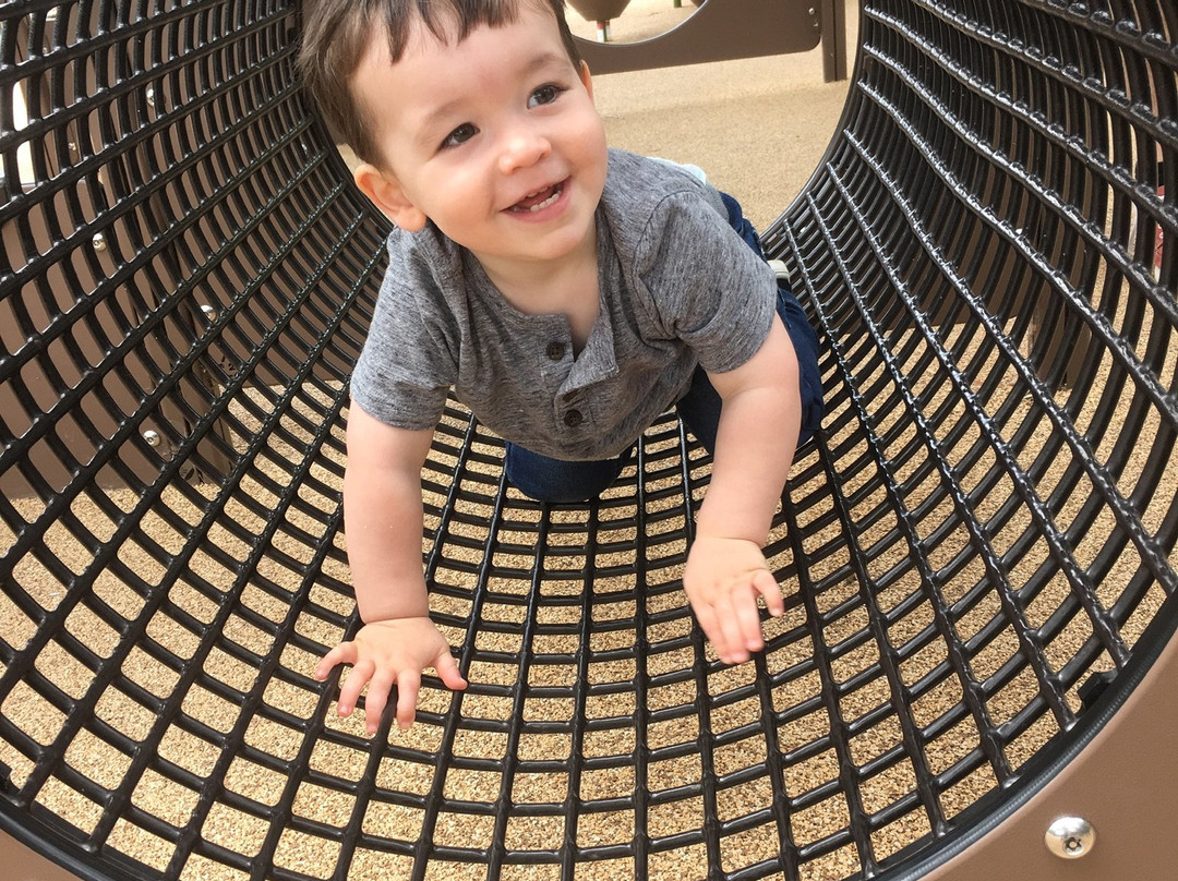 Micke Grove Zoo-洛迪必去景点