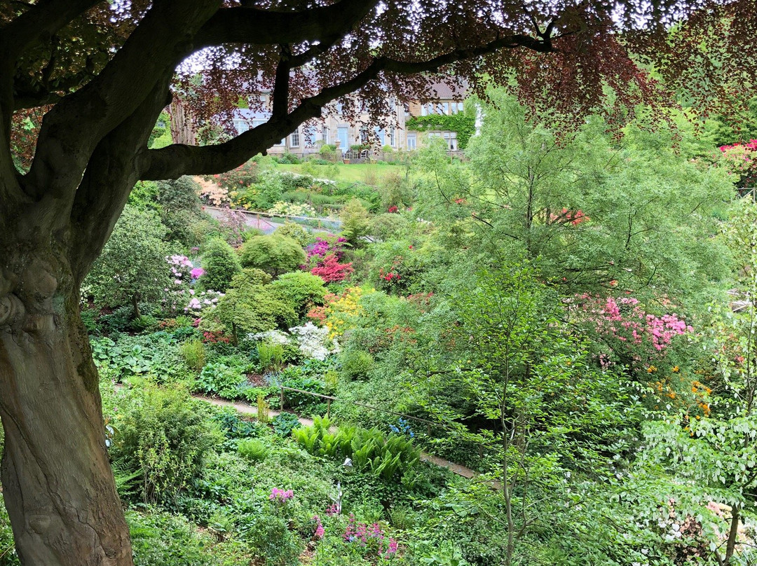 Himalayan Garden & Sculpture Park景点图片