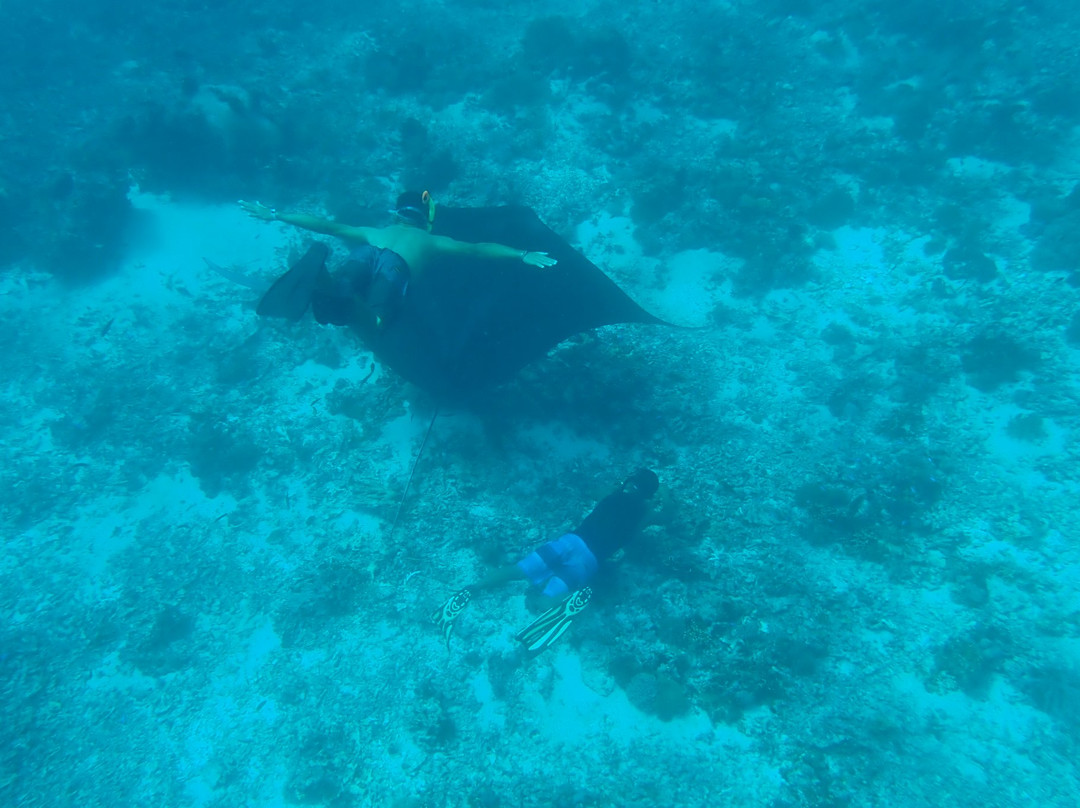 Komodo Marina Tour-Labuan Bajo必去景点