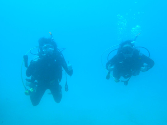 Diving Puglia D.C-莫诺波利必去景点