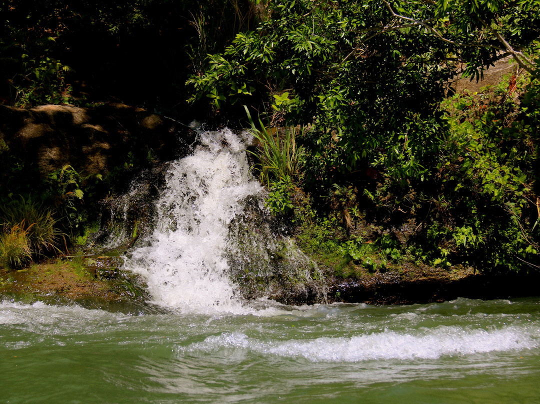 Rios Tropicales by RCR景点图片