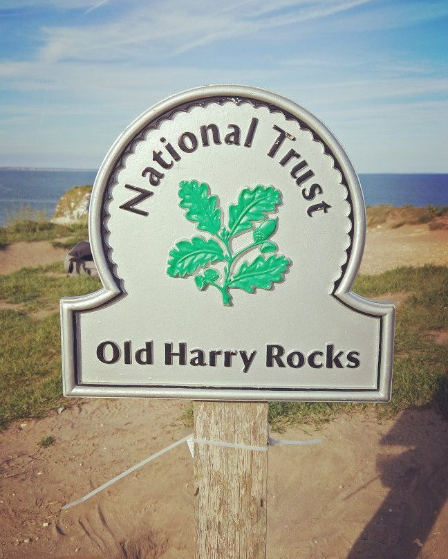 Old Harry Rocks景点图片