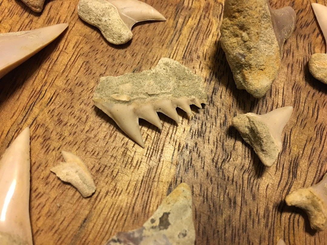 Ernst Quarries-贝克斯菲尔德必去景点