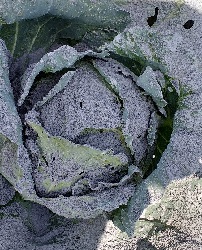 Mount Sinabung-North Sumatra必去景点