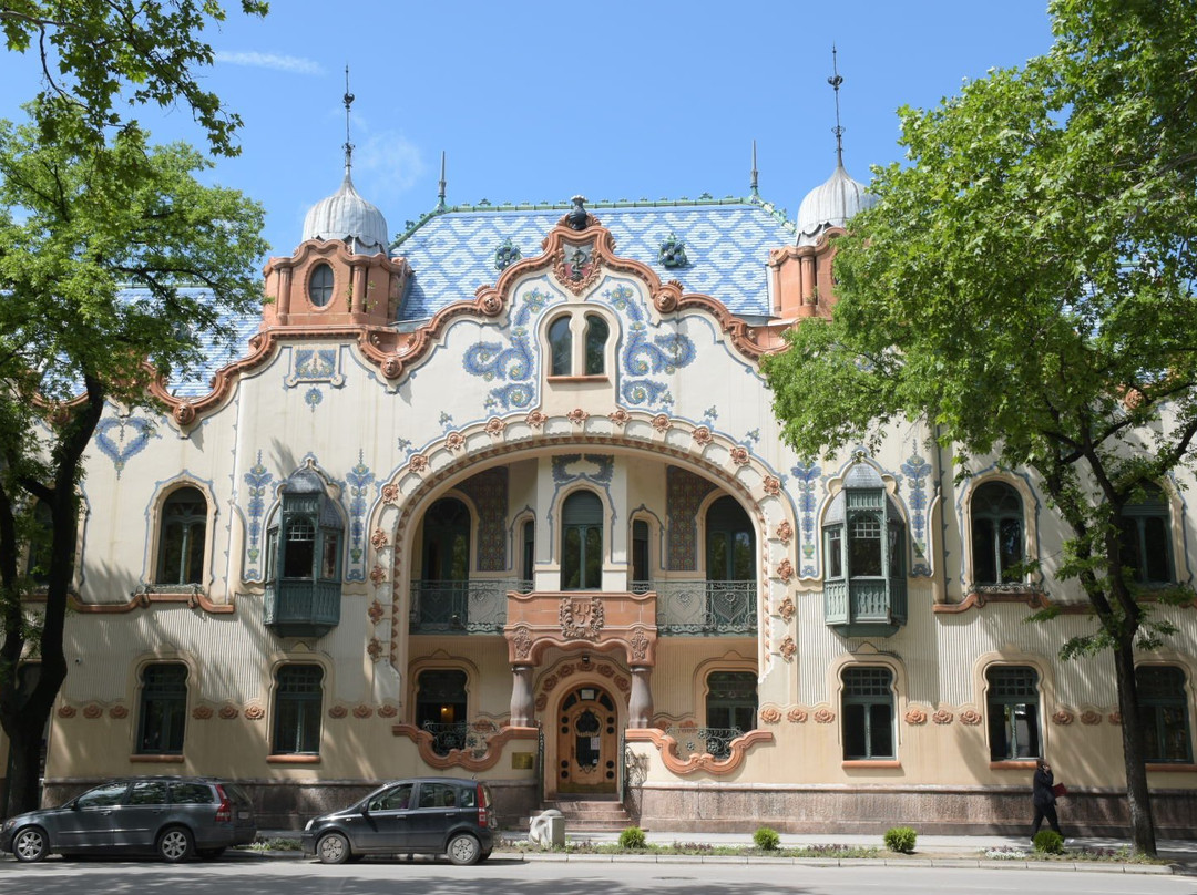 Modern Art Gallery Likovni Susret景点图片