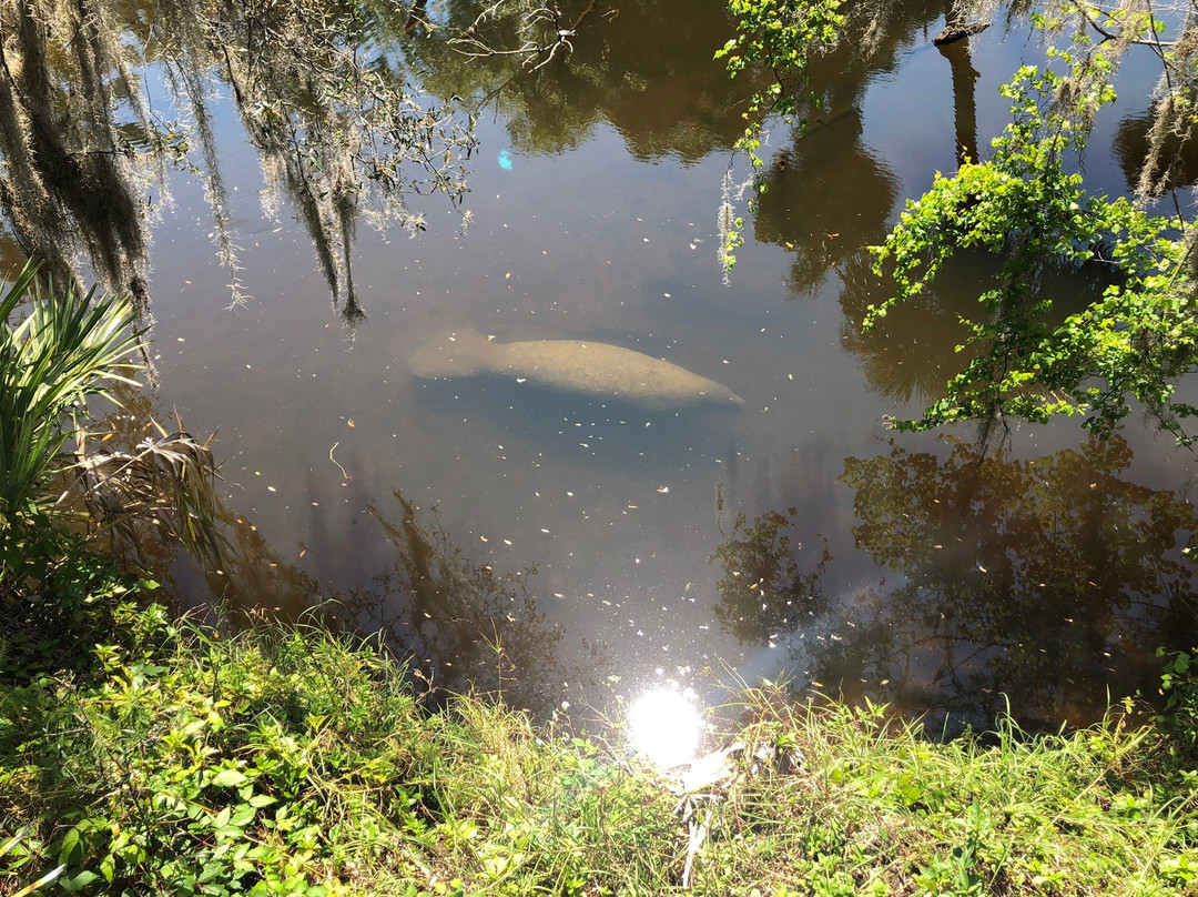 Turkey Creek Sanctuary景点图片