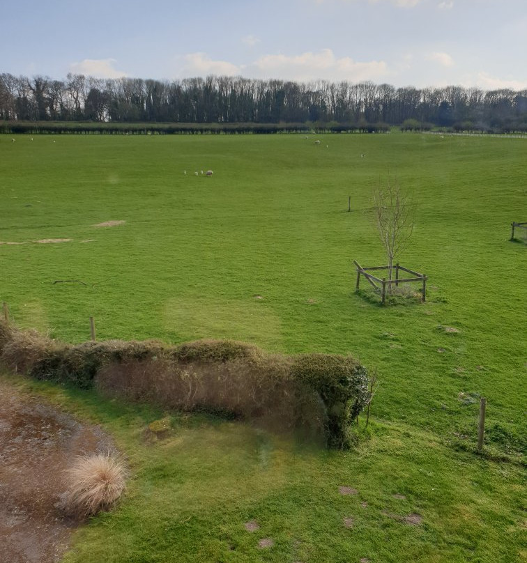 Marshwood Farm B&b And Shepherds Hut主图
