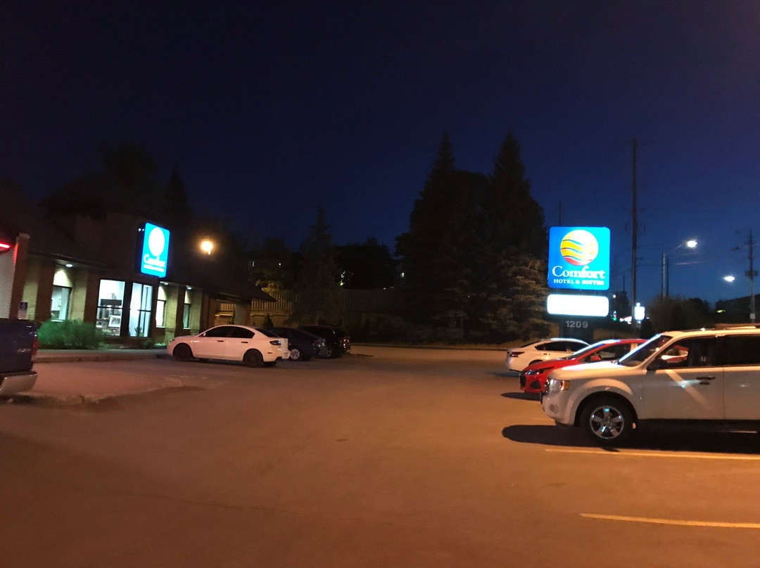 Comfort Inn & Suites主图