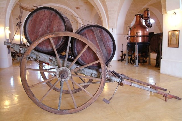 Museo della Civilta del Vino Primitivo景点图片