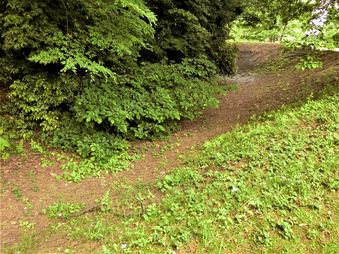 Remains of Jindaiji Castle-调布市必去景点