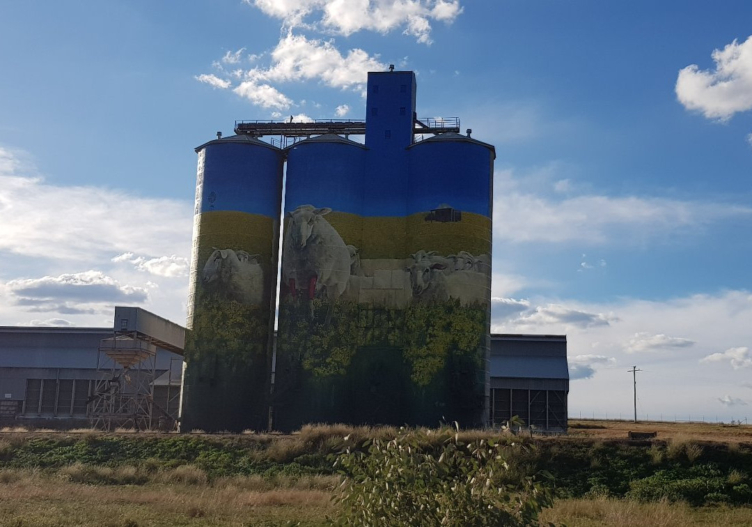 Coolah旅游景点-Merriwa Silo Art