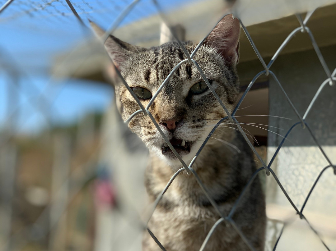 SFT - Tangier Wildlife Sanctuary-丹吉尔必去景点