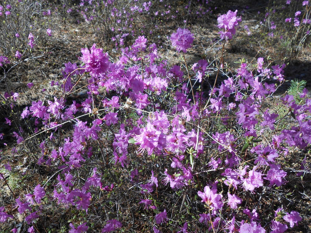 Culture and Leisure Park of Railroad Workers-赤塔必去景点