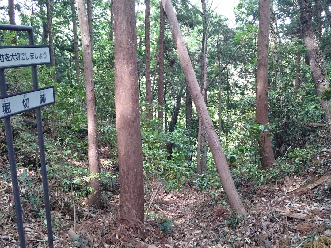 The Site of Aoyama Castle-小川町必去景点