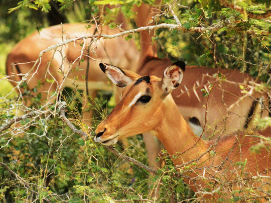 EXPLOREK2K SAFARIS AND TRANSFERS-雾观必去景点