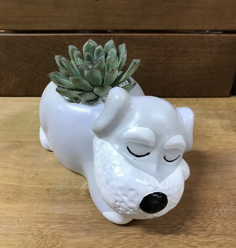 Paiol-Barra Bonita必去景点