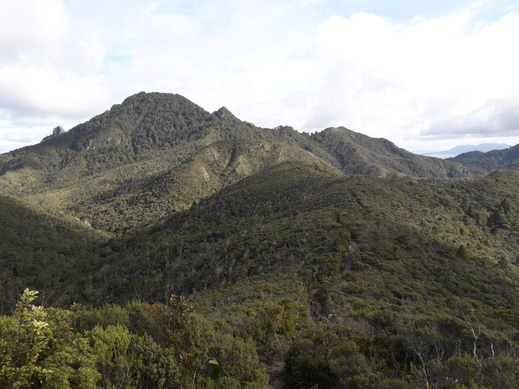 Mt Hobson via Windy Canyon景点图片