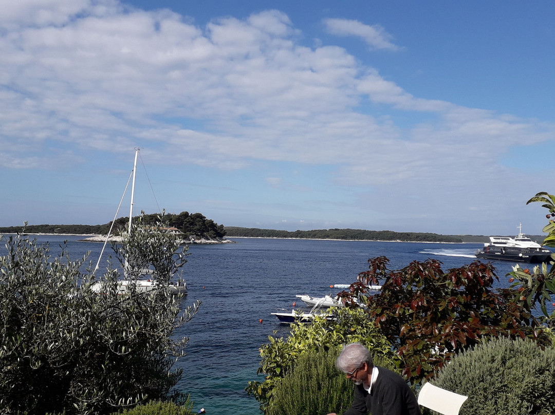 Bare Hvar Sailing Tours景点图片