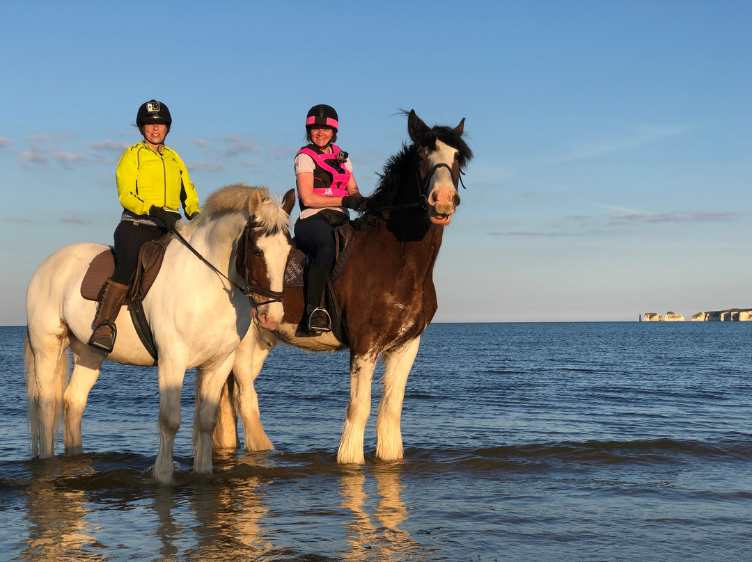 Studland Trekking Centre景点图片