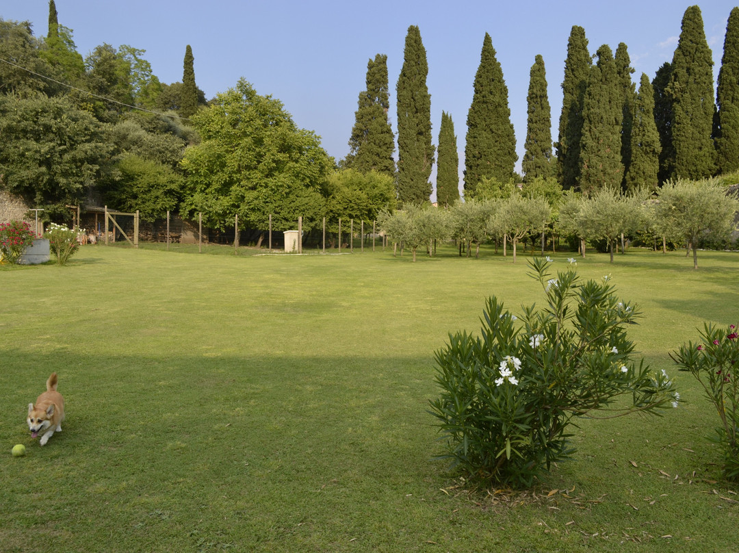 Villa Padovani Relais de Charme主图
