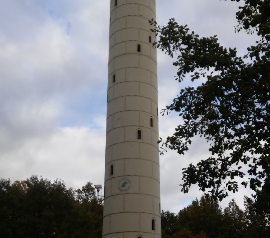Lookout Tower at Dziewicza Góra景点图片