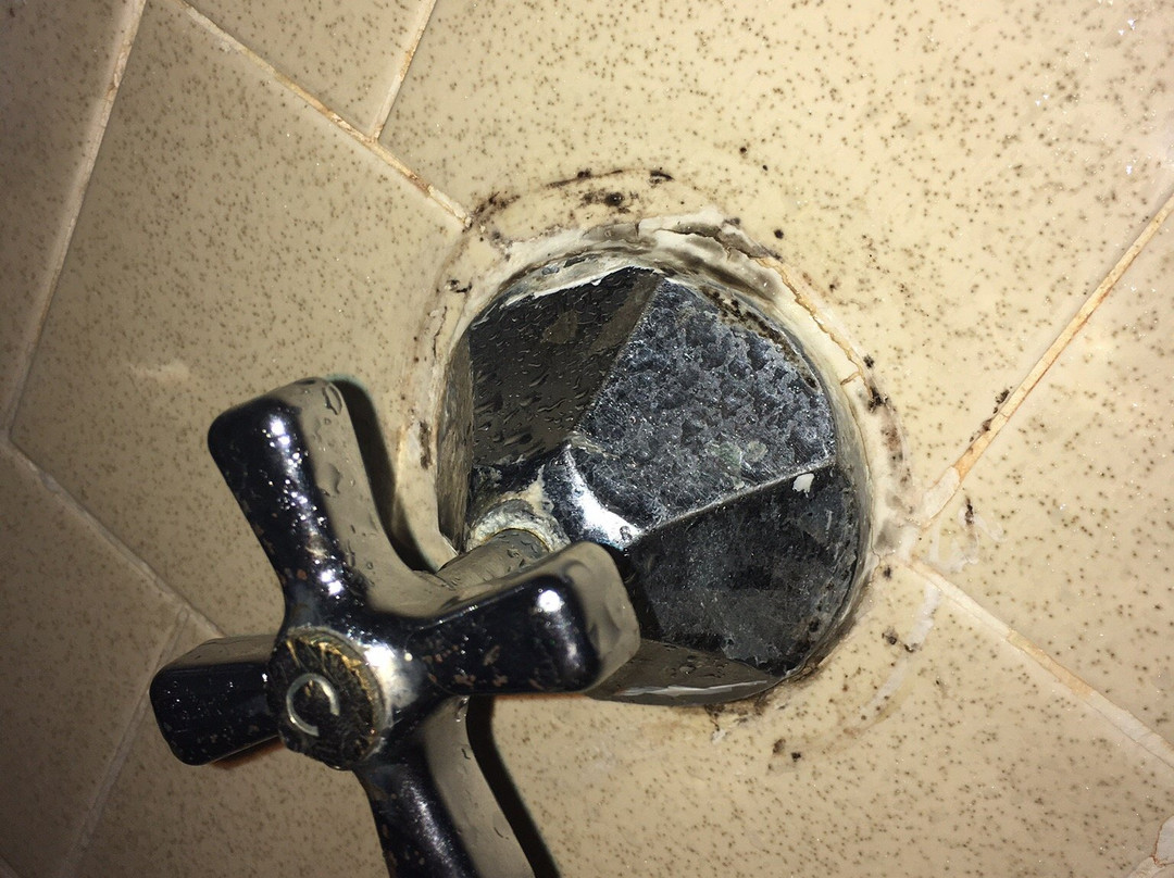 Safari Motor Inn - Joshua Tree主图