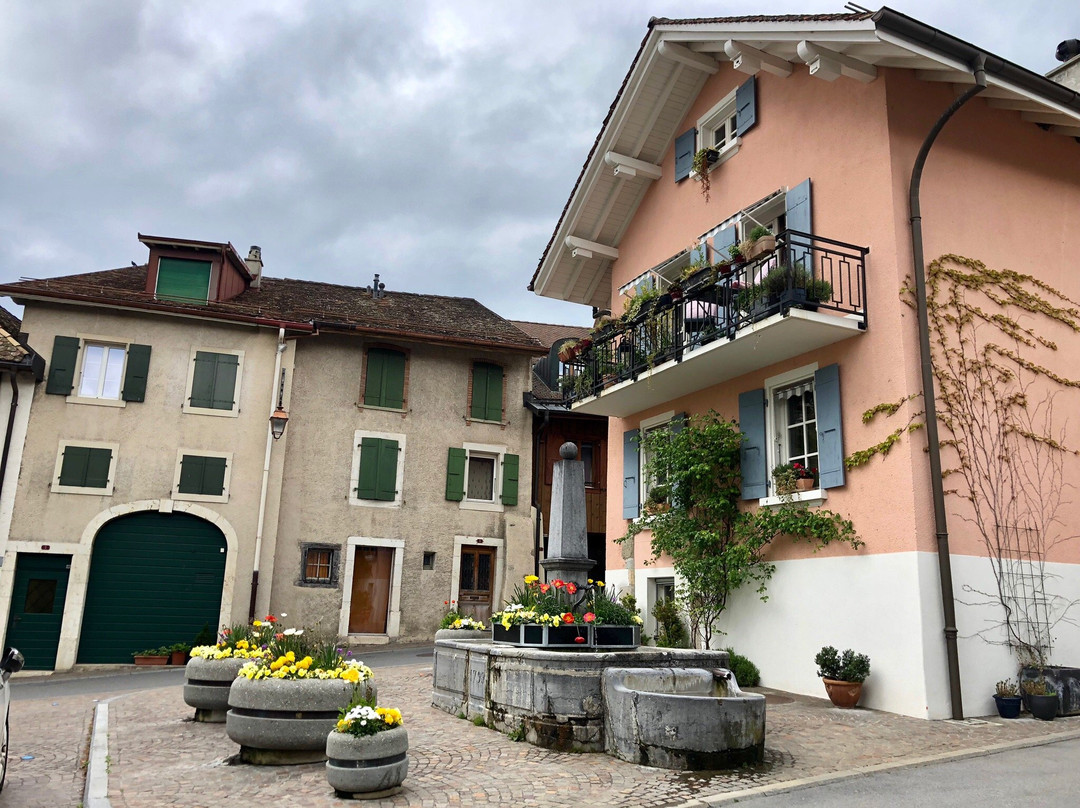 Visite à travers Aubonne-Aubonne必去景点