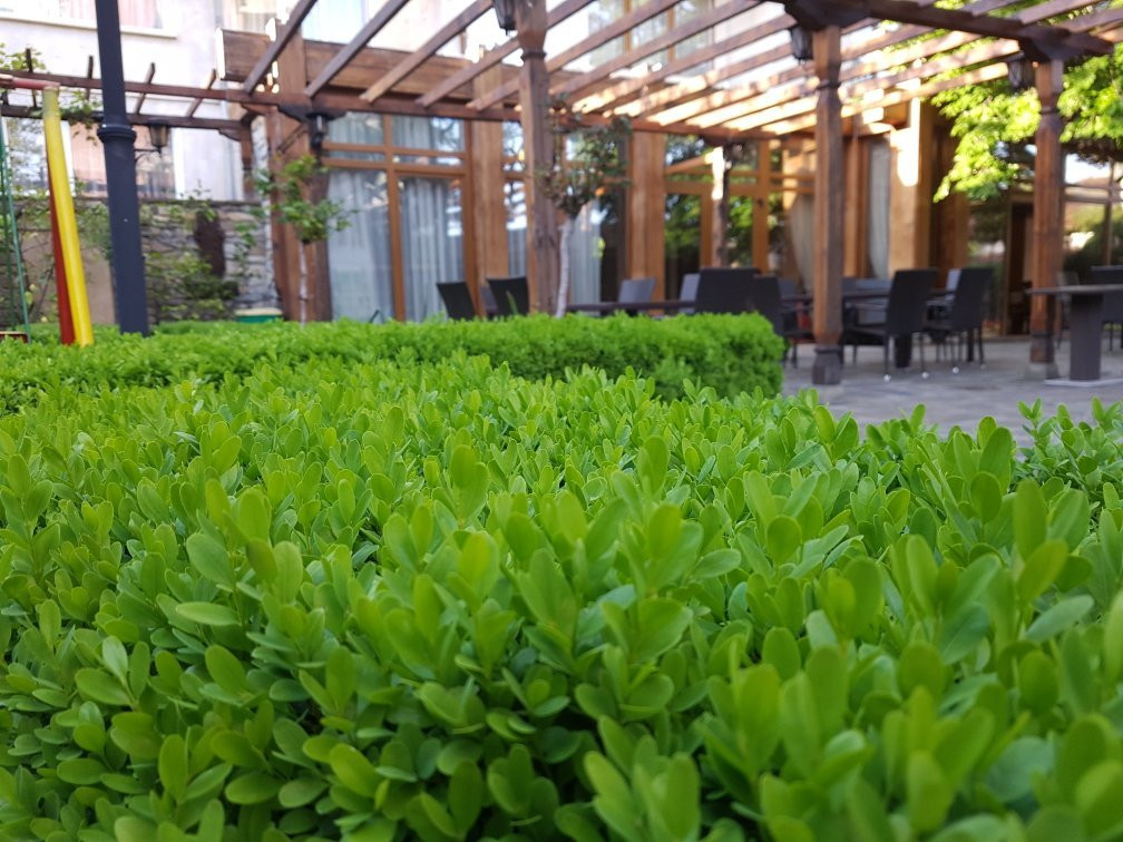 National Palace Hotel主图