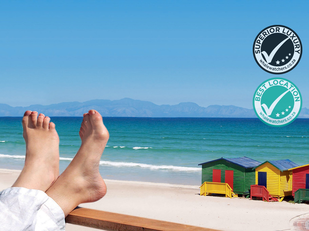 MUi STAYS Accommodation主图