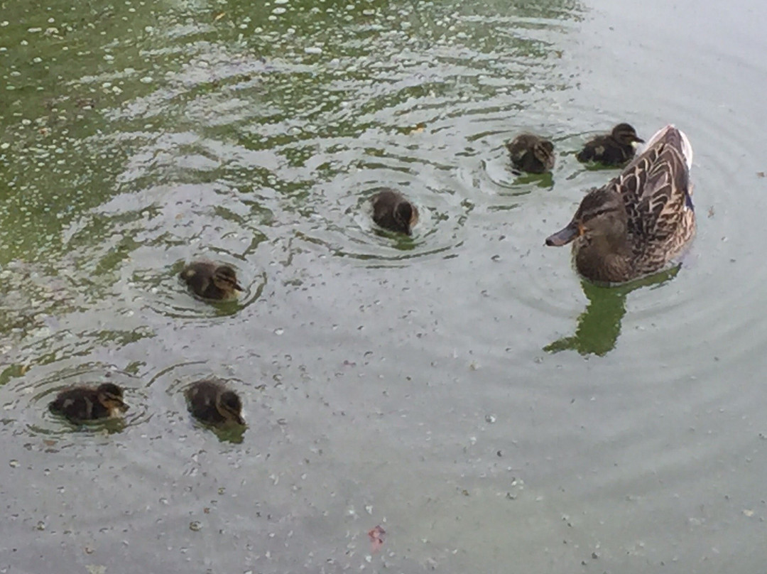 Grand Hotel Sofianu主图