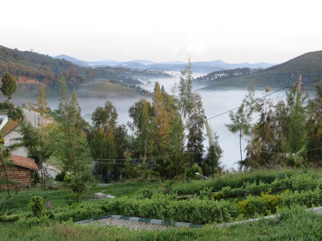 Nyungwe Nziza Ecolodge主图