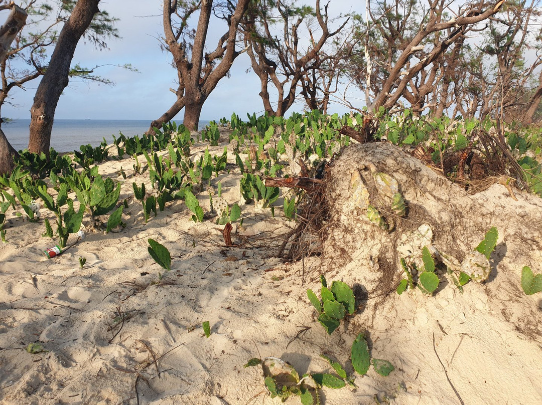 Jardim Das Velas主图