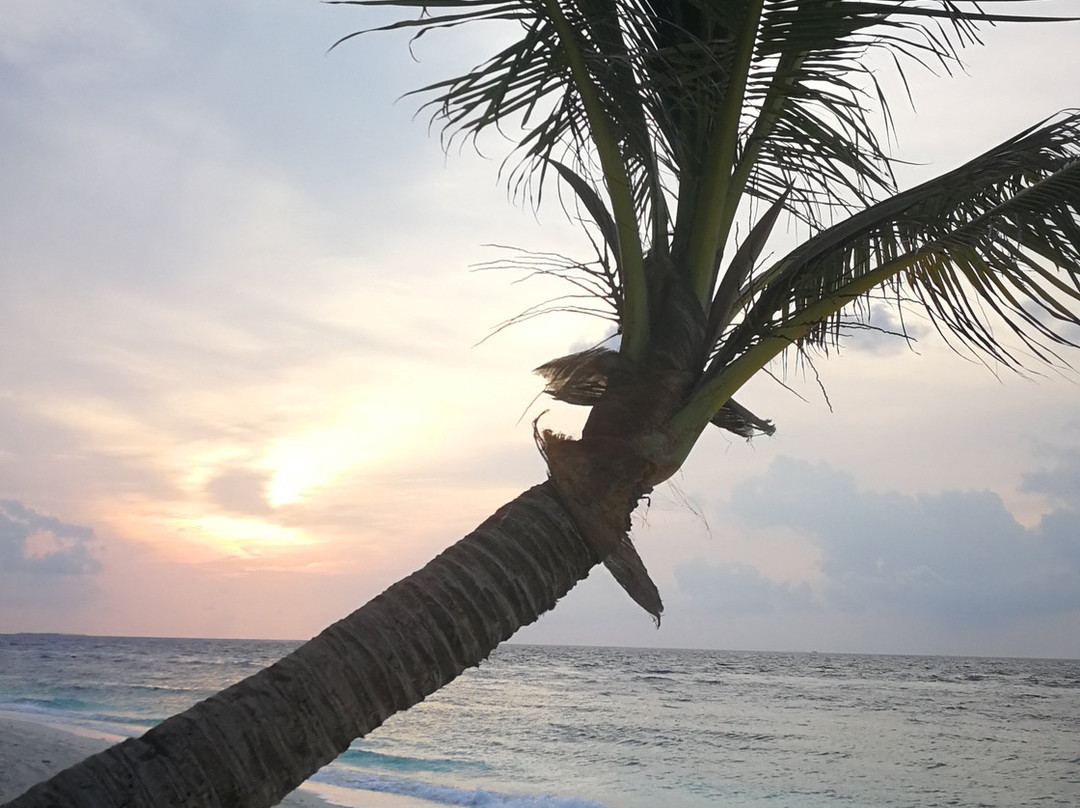 Lvis Blancura Hotel主图