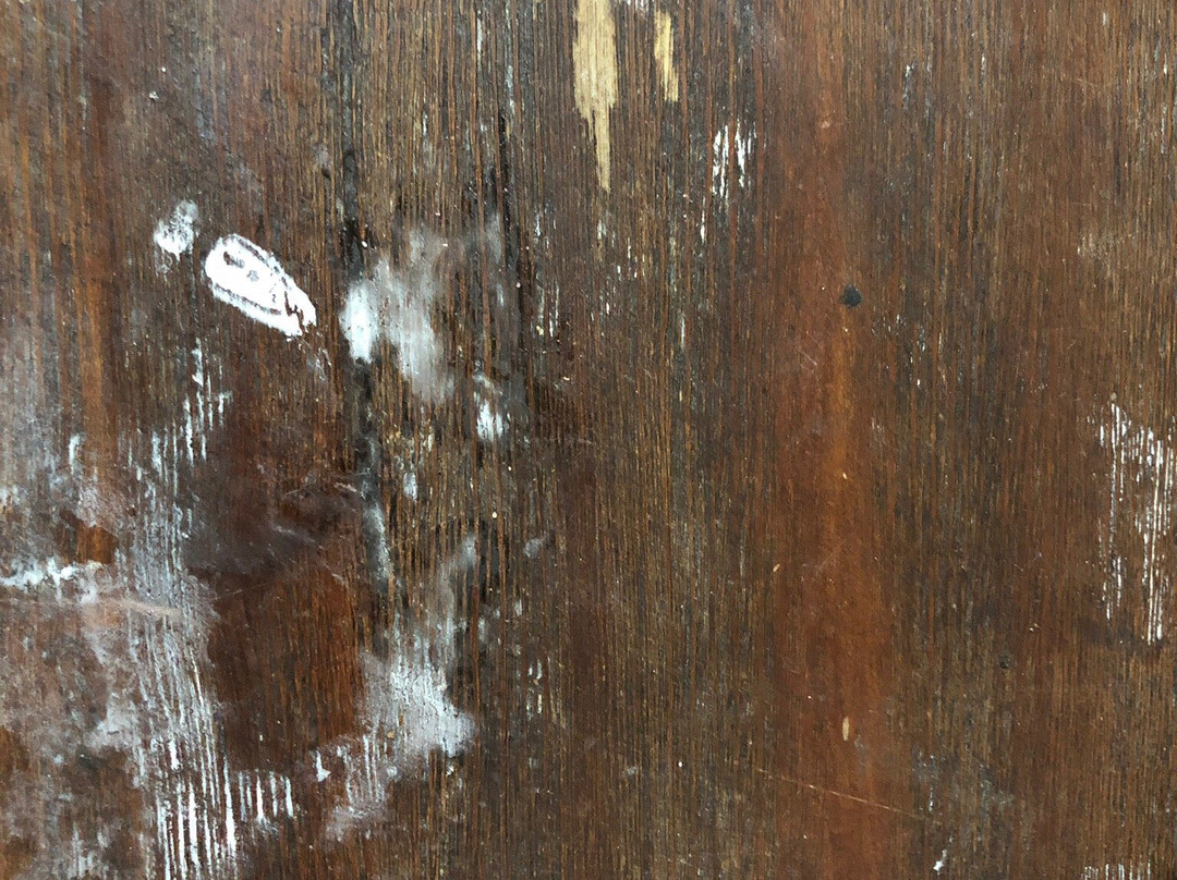 多洛雷斯阿尔巴奇琴酒店主图