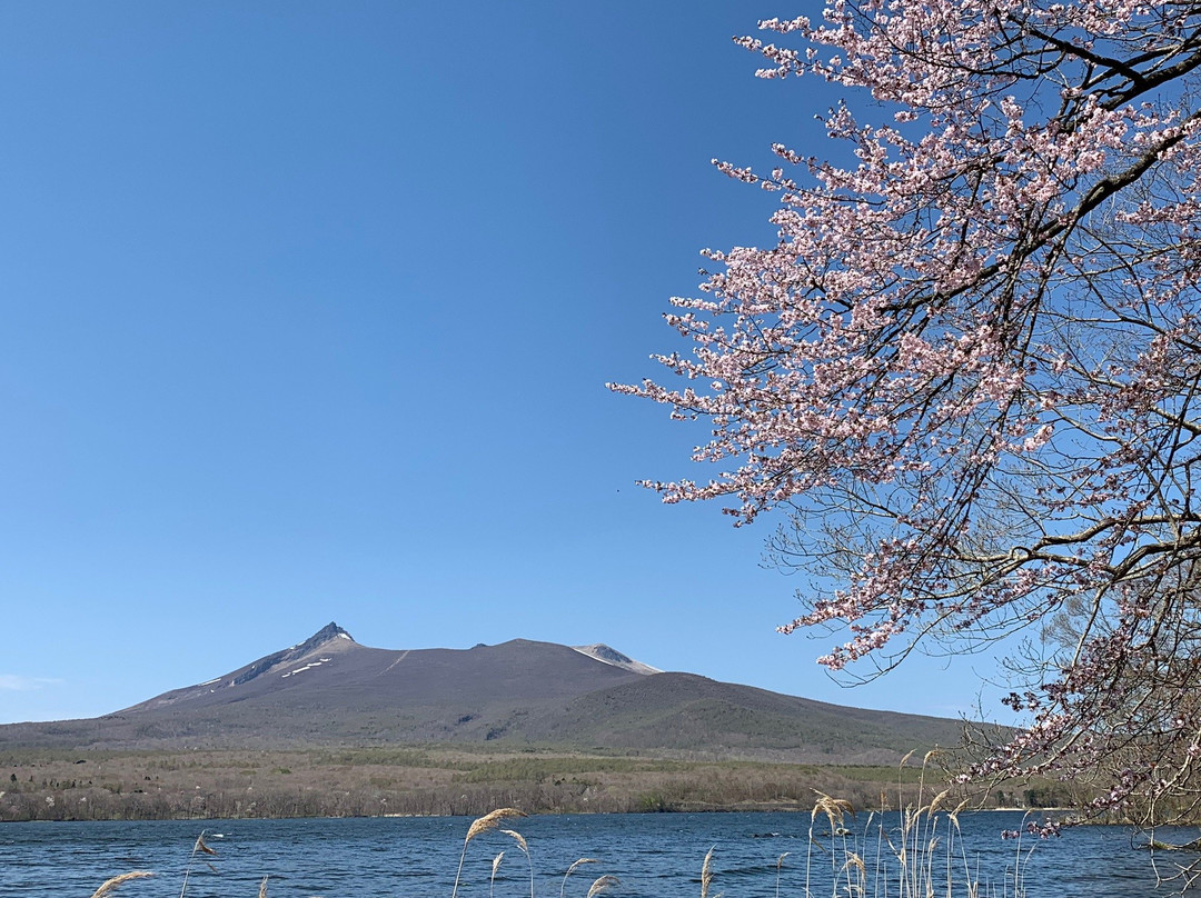 Onuma Park Square-七饭町必去景点