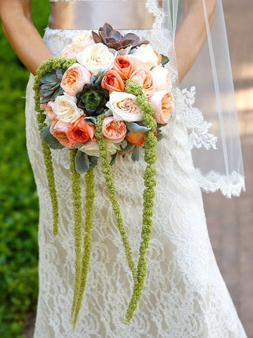 Flowers by EA-普罗维登西亚莱斯必去景点