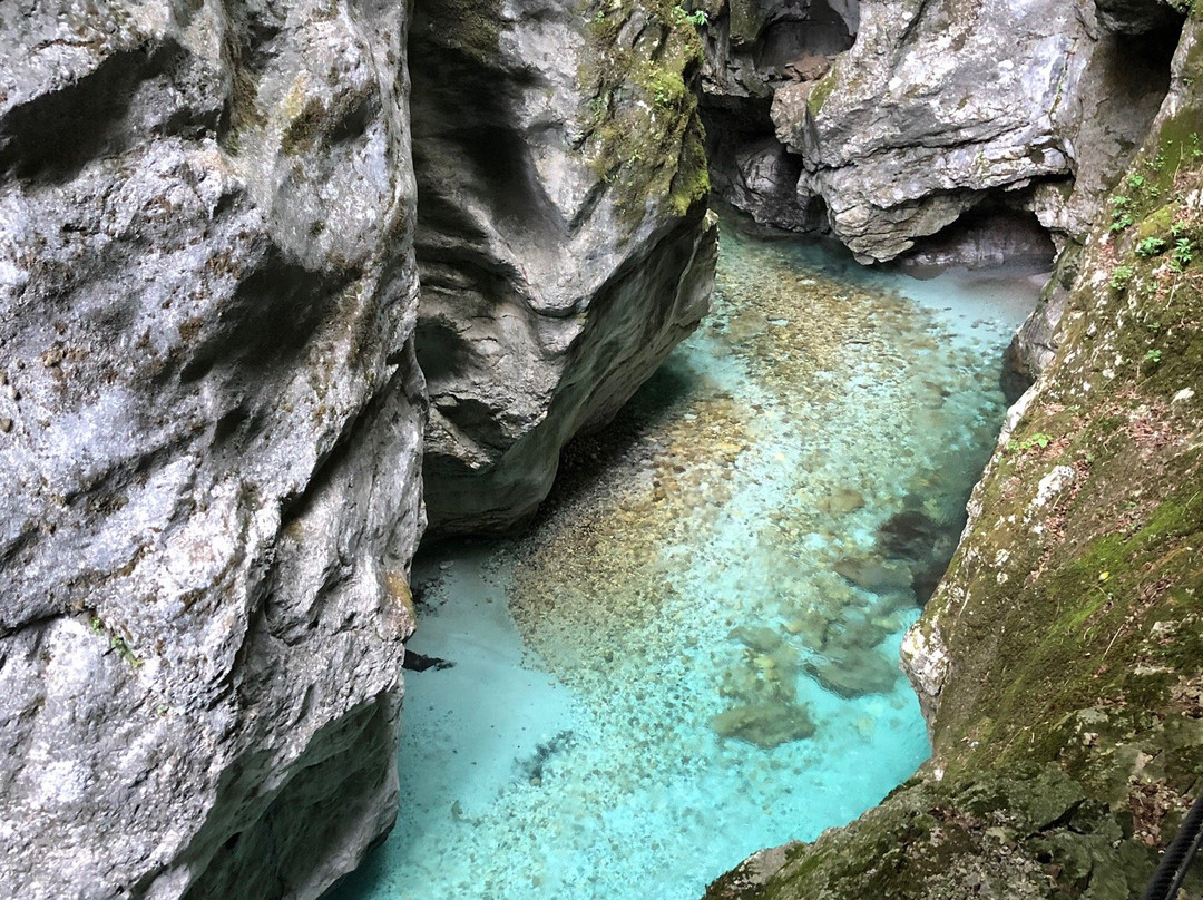 Napoleon Bridge-Logje必去景点