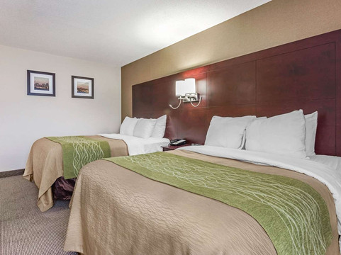 Comfort Inn & Suites Barrie主图