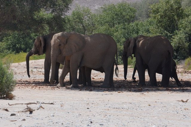 Hoanib River-Kaokoland必去景点