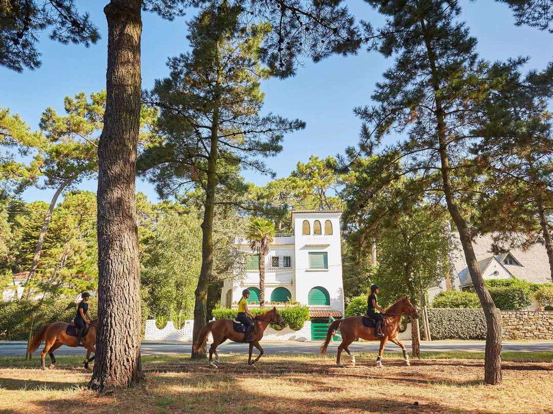 Manège des Platanes-拉博尔埃斯库布拉克必去景点