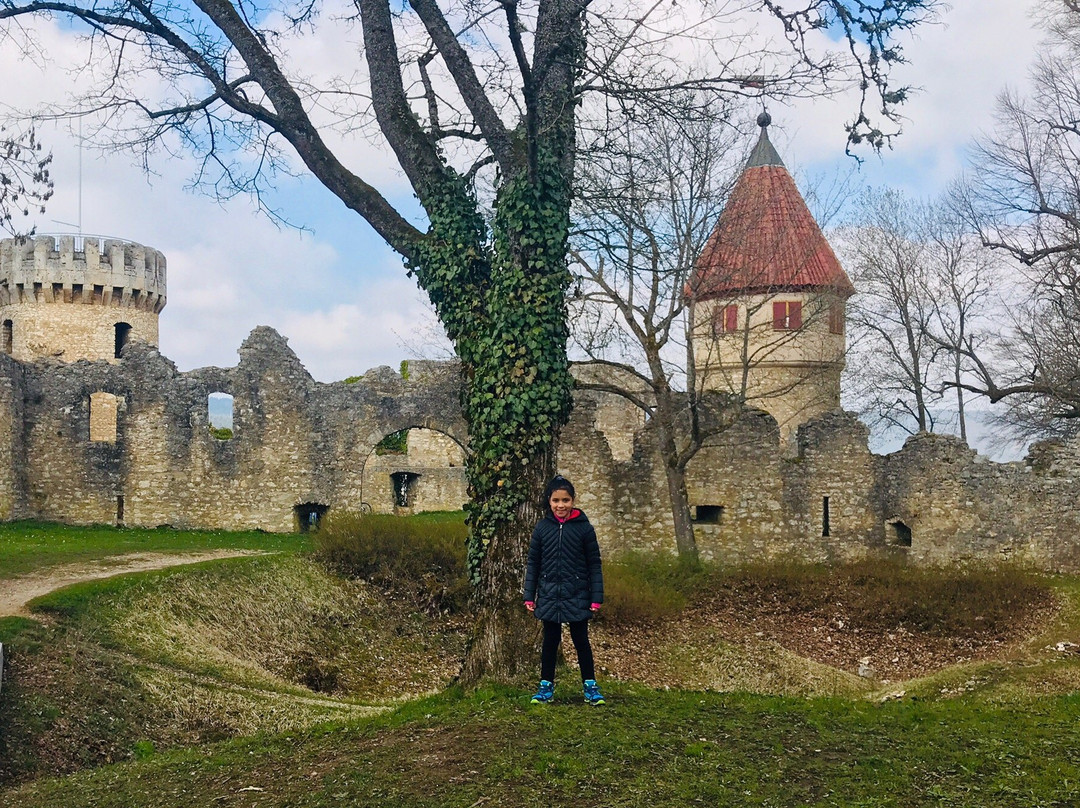 Burg Honberg-图特林根必去景点